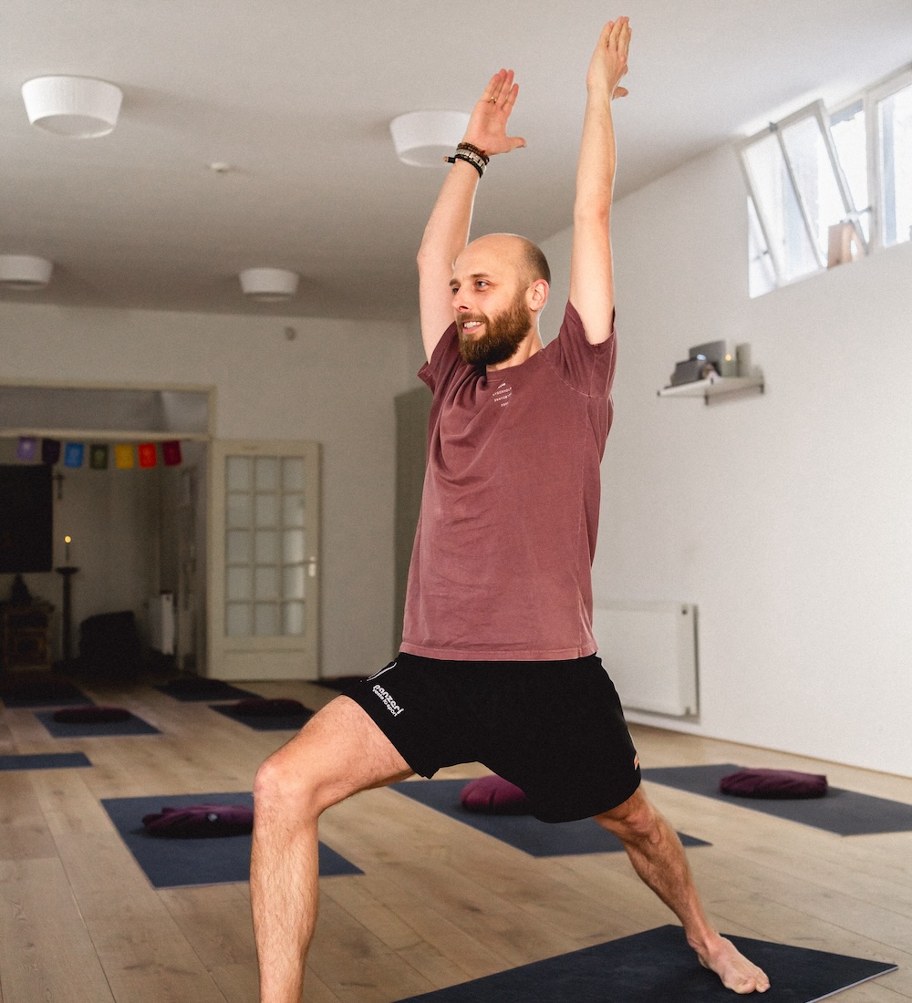 Vinyasa Yoga yogales in Alkmaar De Yogawereld Alkmaar